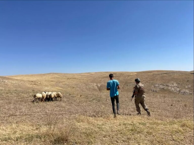 kaybolan 26 koyun jandarma tarafindan bulundu YxfmA5Hp