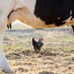 tuikten tedirgin eden aciklama aylik uretim azaldi Ft4VOqsv