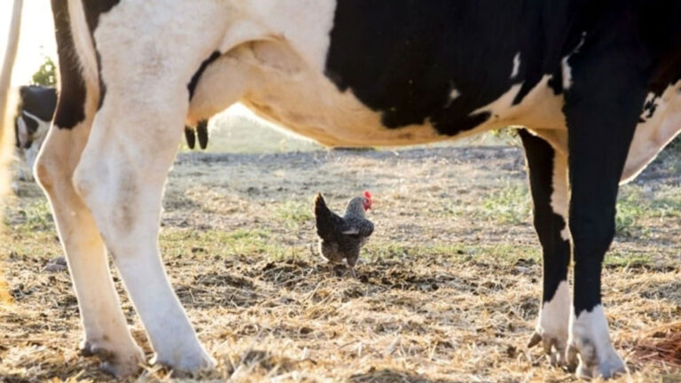 tuikten tedirgin eden aciklama aylik uretim azaldi Ft4VOqsv