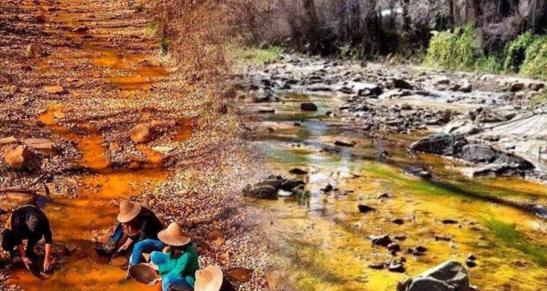 efsanelere konu olmustu gercek cikti ulkenin nehirlerinden altin akiyor YWDYLBIy