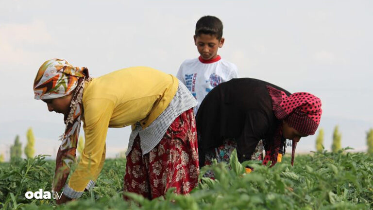 vergi jesti ciftciyi vurdu yerli uretici endiseli xbg5euqq