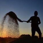 ciftcilere destekleme odemesi bugun yapilacak Fydp794N