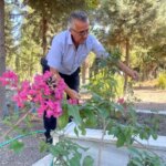 huseyin guven oglunu kaybettikten sonra mezarligi adeta bir parka donusturdu MEH871RO