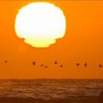 marmarada tehlike kapida istanbulda son 65 yilin en kotu verisi kNMb3zNb.jpg