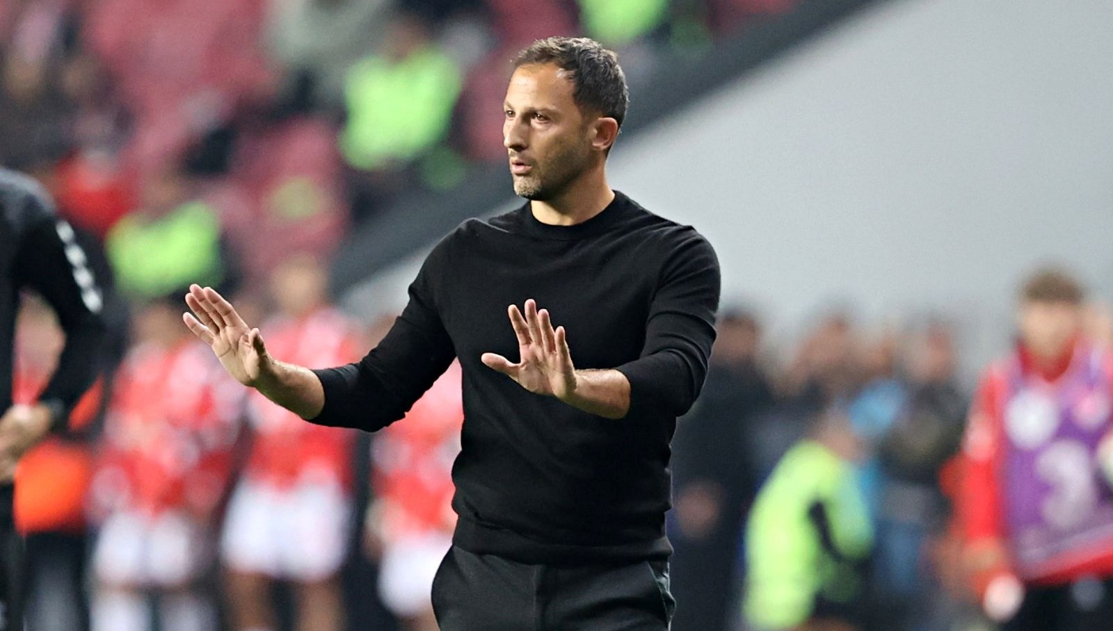 milli arada gozler fenerbahce yonetiminde tedesconun tartismali karnesi eThDhkbw