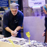 trabzonda hamsinin kilosu 200 lira tbPBUYL6