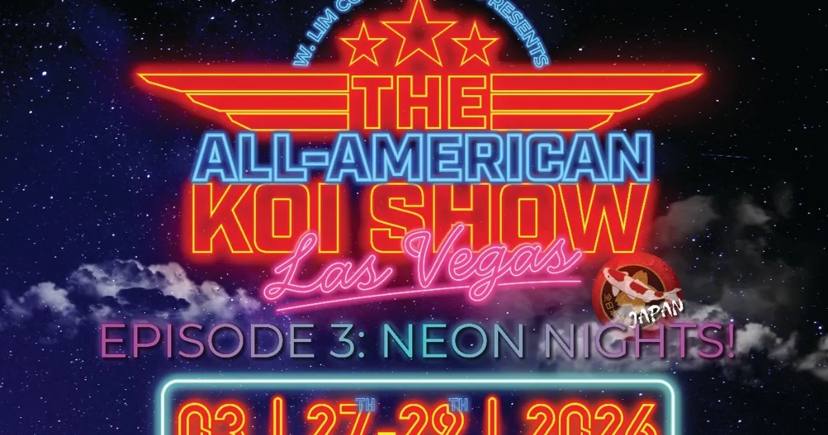 all american koi show 2026 koi dunyasinin en prestijli yarismasi las vegasa donuyor TO75mvPs.webp
