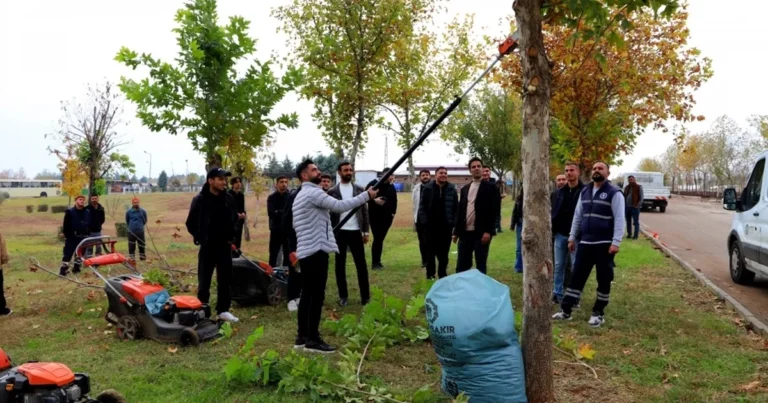 diyarbakirda-universite-ogrencileri-sahada-budama-tekniklerini-uygulamali-ogrendi-9m28ncFI.webp