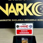 bilecik-pazaryerinde-narko-operasyon-rnXeqOwp.webp
