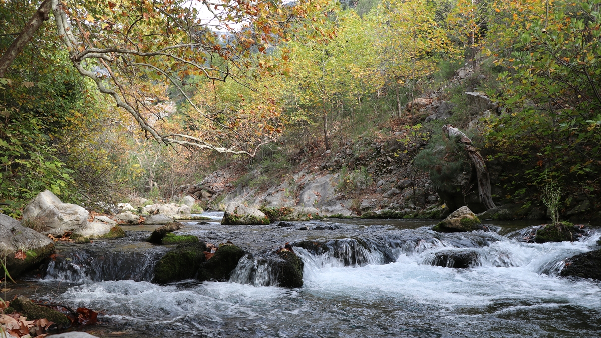 karanlikdere-kanyonunda-sonbaharin-son-renkleri-cv7KJ7eu.jpg