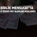 birlik-mensucat-pay-satisinda-buyuk-alicilar-aciklandi-E1e2CMg3.jpg