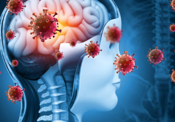 hantavirus-paniginden-sonra-bir-salgin-daha-ingilterede-1-kisi-oldu-2-kisi-tedavi-altinda-qSTajJ5s