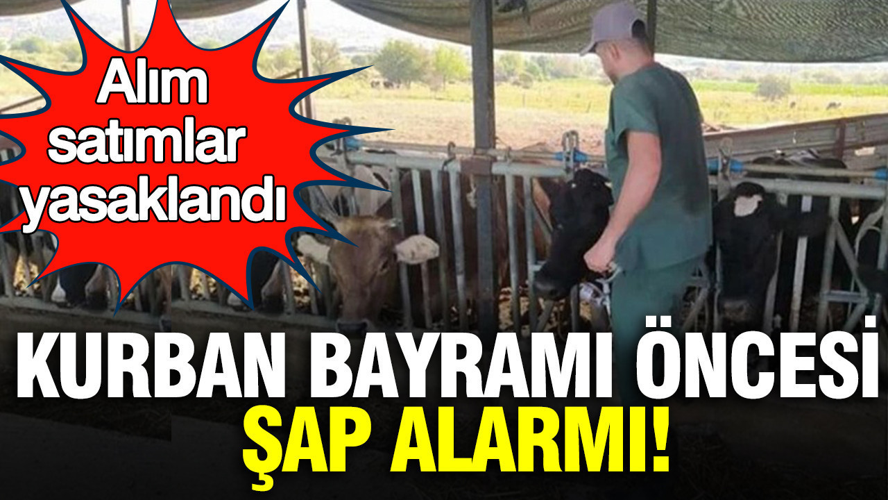 Kurban Bayramı Öncesi Şap Hastalığı Nedeniyle Karantina Uygulaması Başlatıldı